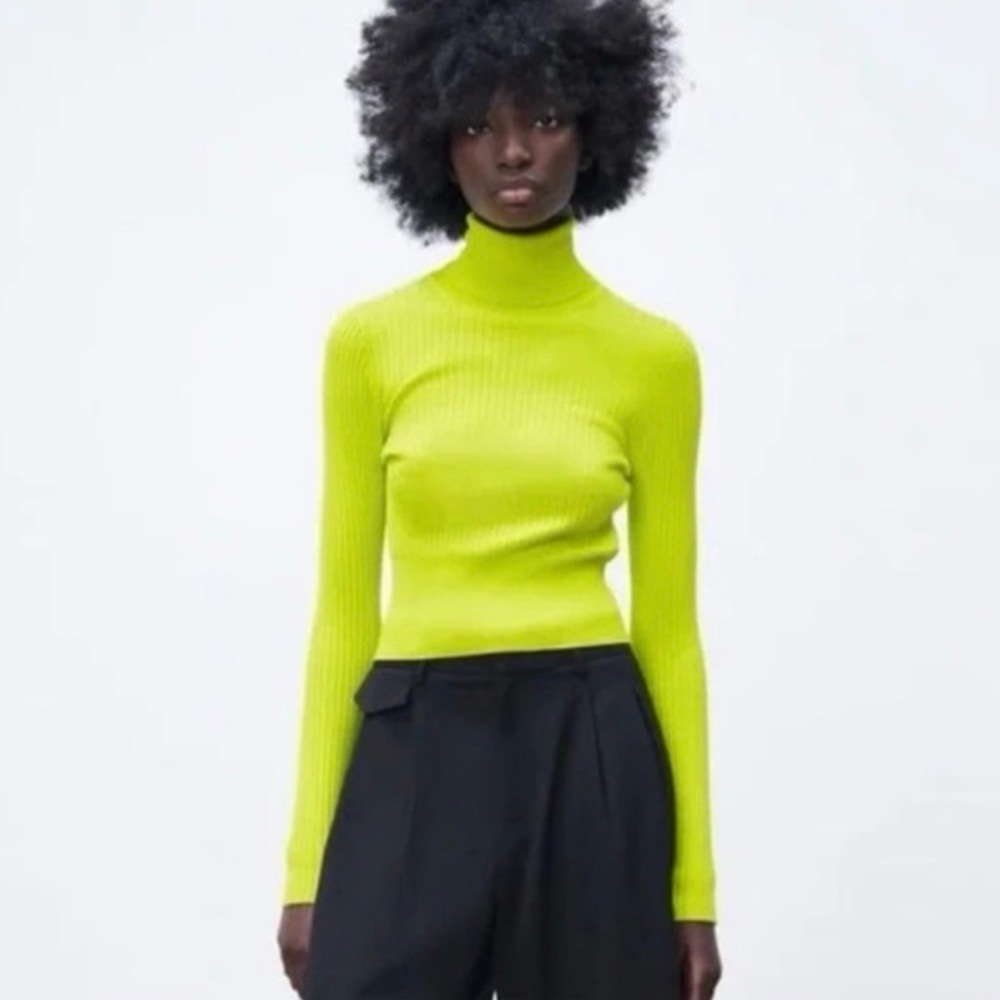 Zara Ribbed Knit Fitted Turtleneck